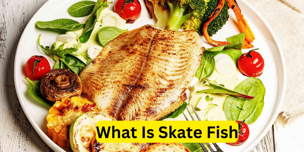 What Is Skate Fish